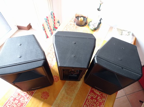 VENDO CASSE OMNITRONIC ACTIVE SPEAKER SYSTEM