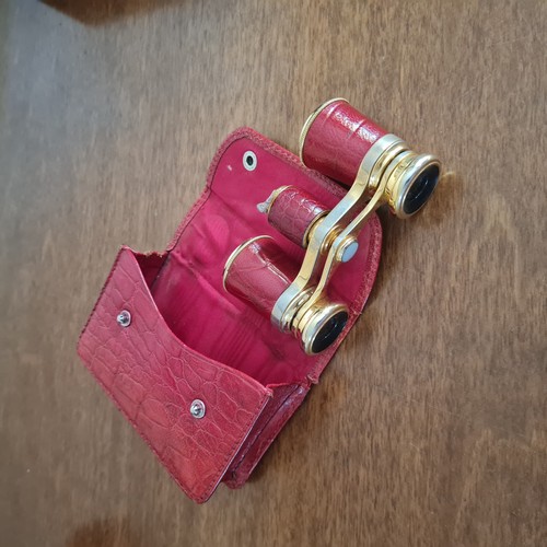 Binocolo  vintage da teatro con rivestimento in  p